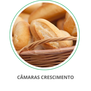 Câmaras Crescimento